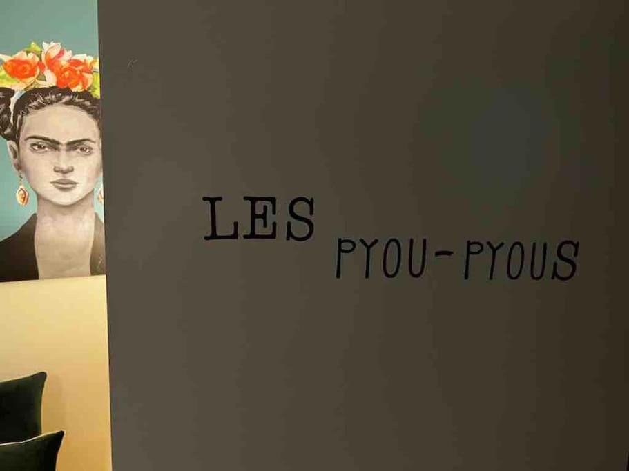 Apartament Les Pyou-Pyous Nancy Zewnętrze zdjęcie