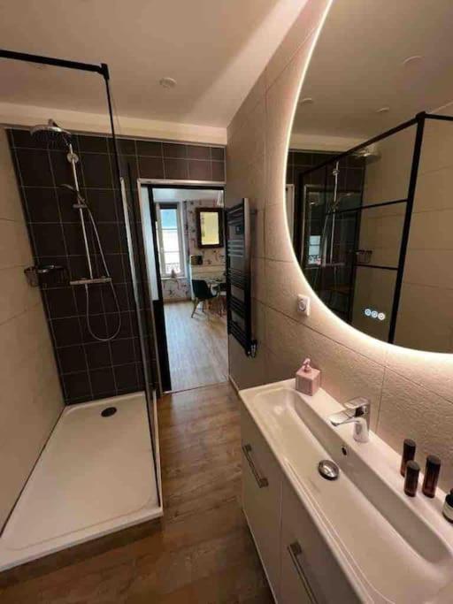 Apartament Les Pyou-Pyous Nancy Zewnętrze zdjęcie
