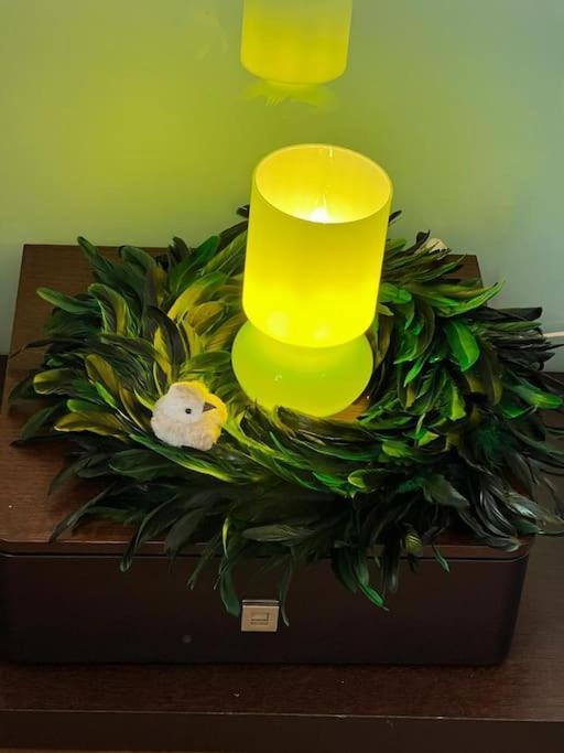 Apartament Les Pyou-Pyous Nancy Zewnętrze zdjęcie