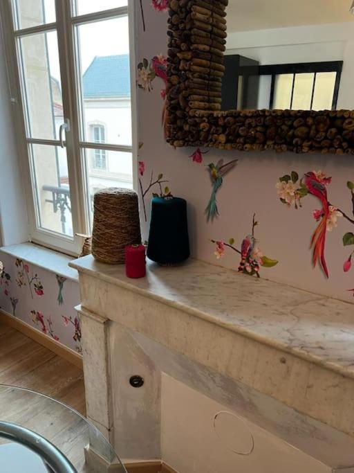 Apartament Les Pyou-Pyous Nancy Zewnętrze zdjęcie