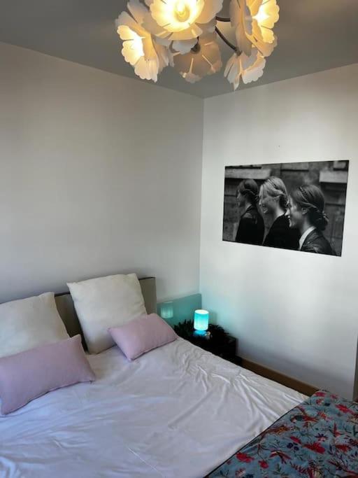 Apartament Les Pyou-Pyous Nancy Zewnętrze zdjęcie